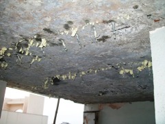 Three men standing near ladders outside the building conducting inspection